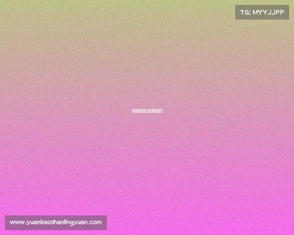 赛事经费来源,赛事经费预算